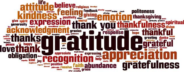 TRG Staff What I’m Grateful For